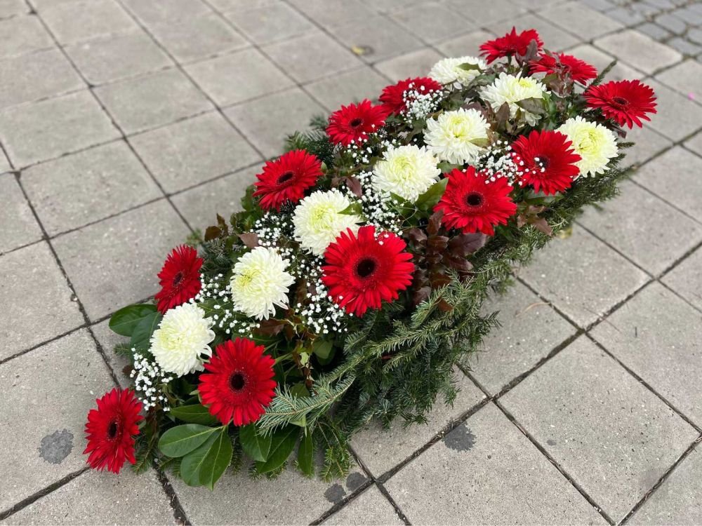 L-OS08 Suza — crveni gerberi i zelenilom četinara