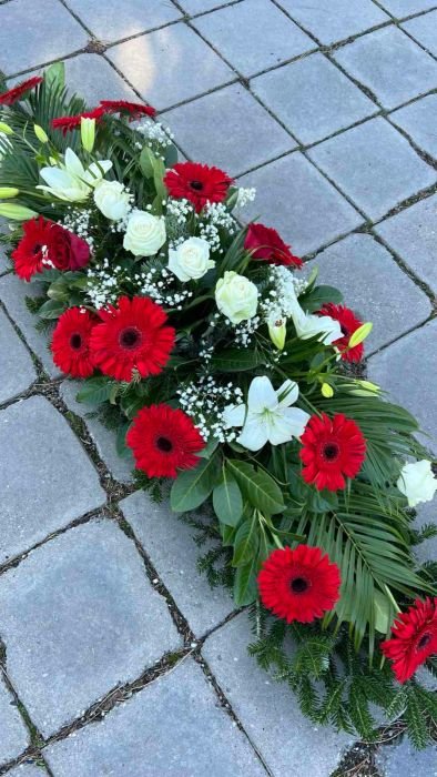 L-SS12 Suza za sanduk — crveni gerberi i bele ruže